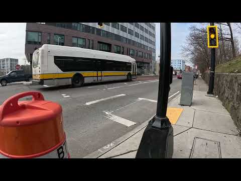 🚏🚍💥😲T MBTA Boston Permanent Bus LANE🚨DIMOCK stop on Columbus Ave Public Transportation🚍Roxbury JP